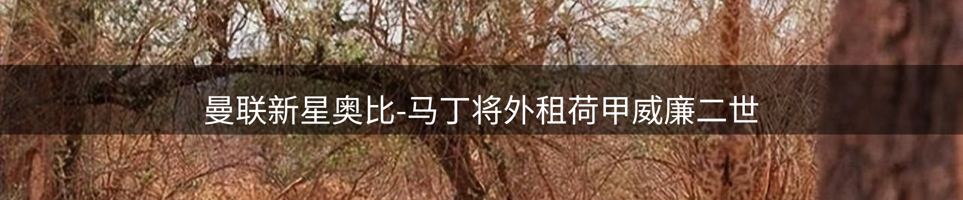 企业快讯